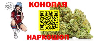 стаф Кинель