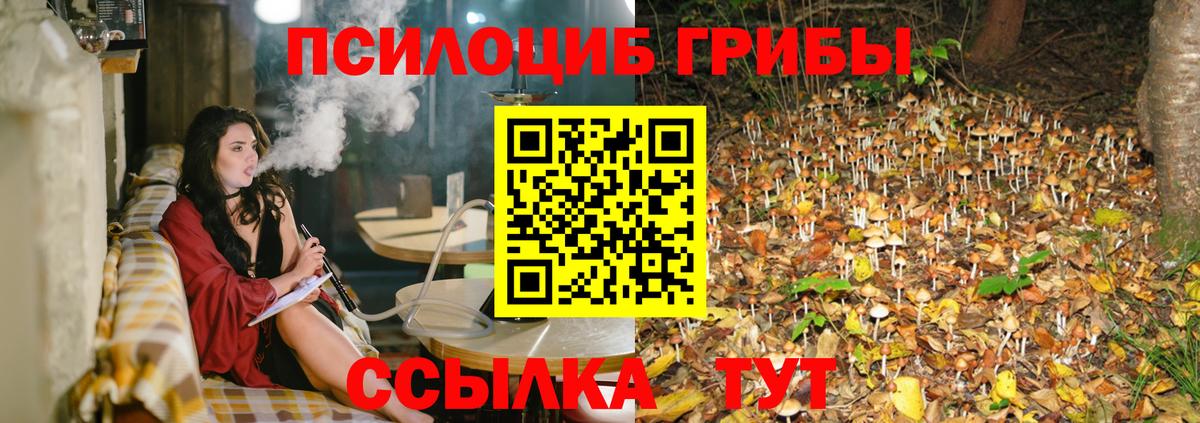 Галлюциногенные грибы Psilocybine cubensis Рославль