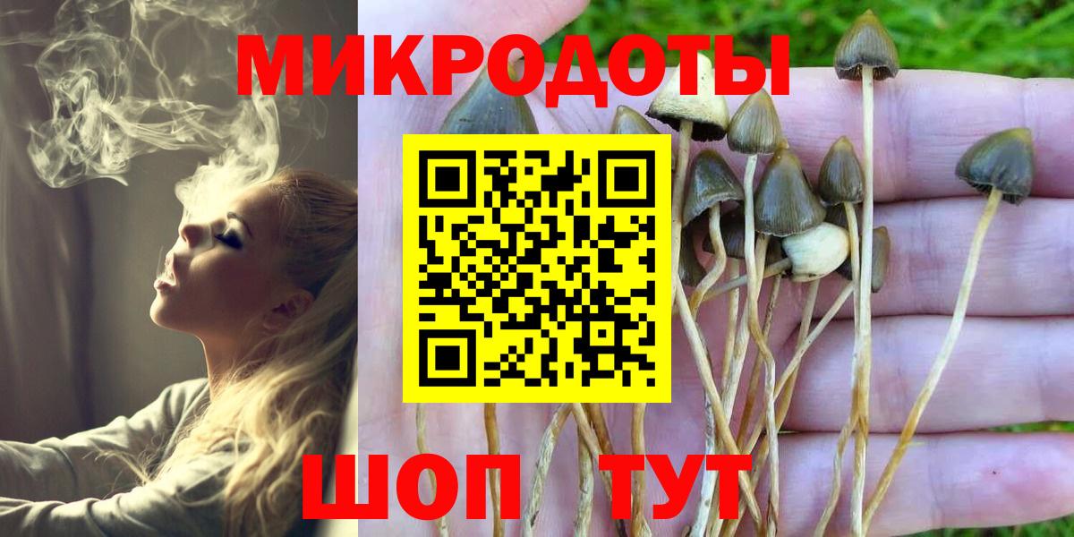 купить наркотик  Вход с VPN  Рославль  Галлюциногенные грибы MAGIC MUSHROOMS 